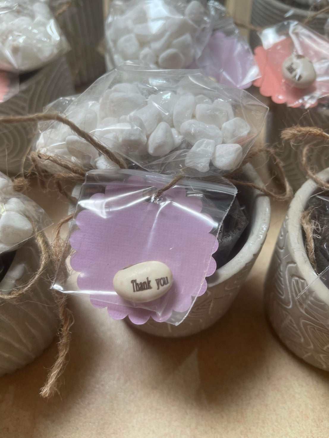 Magic bean seed set or engraved seed