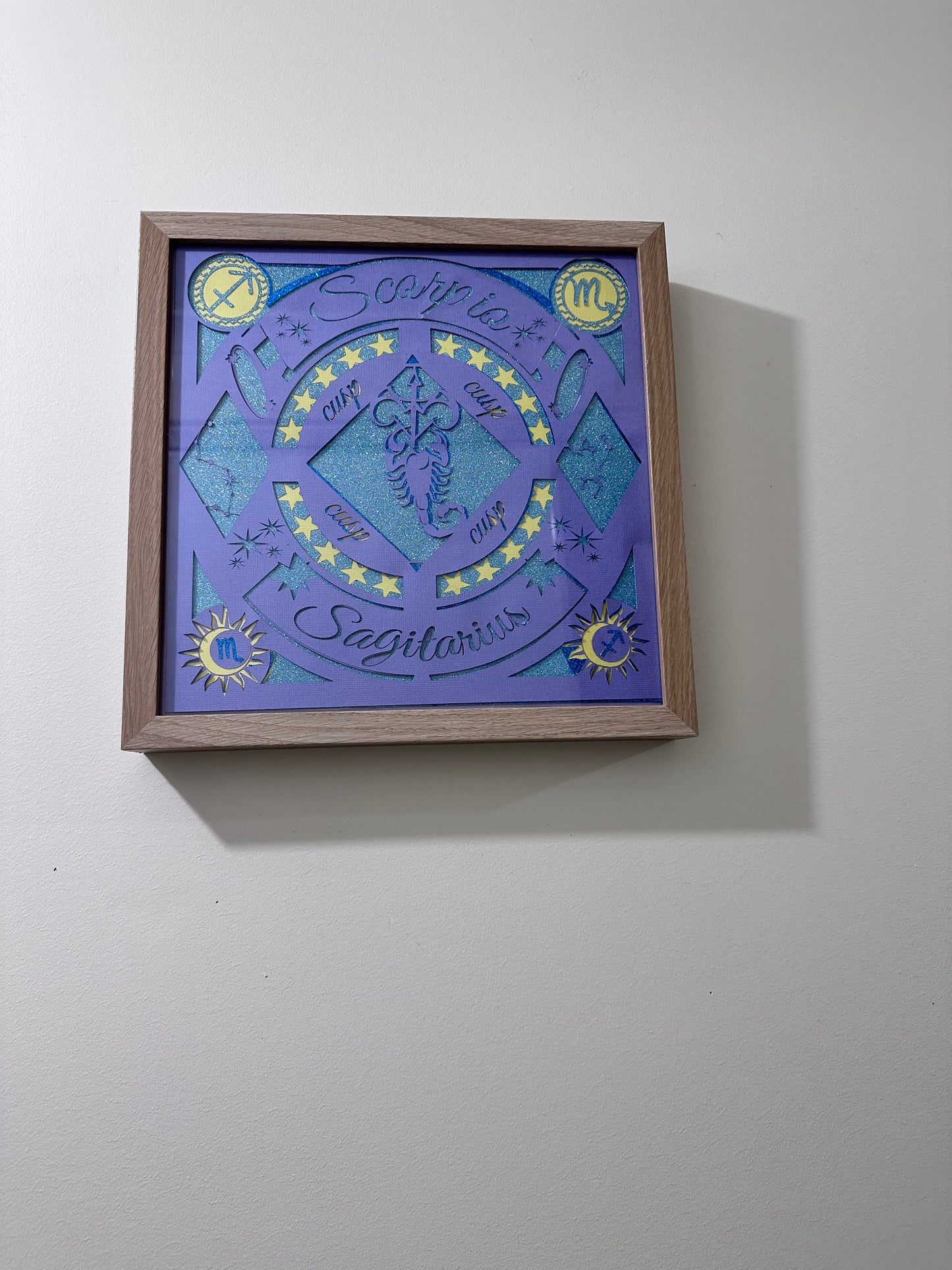 Zodiac sign shadow boxes