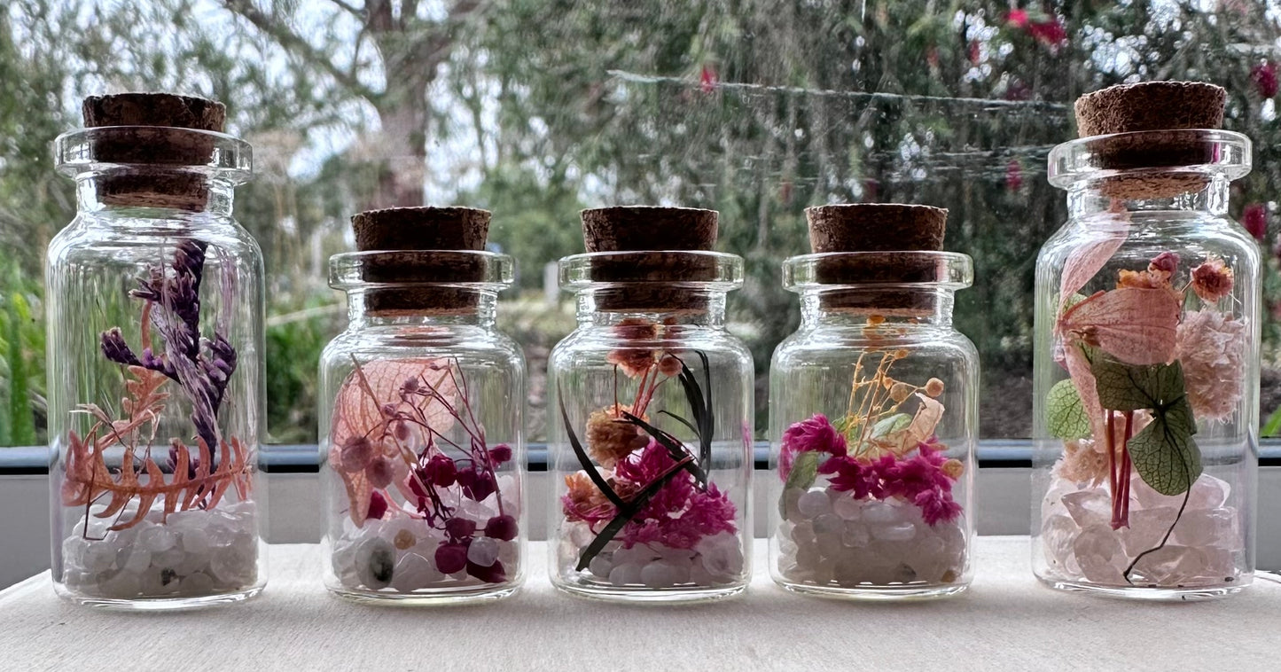 10 Jar Variety Pack