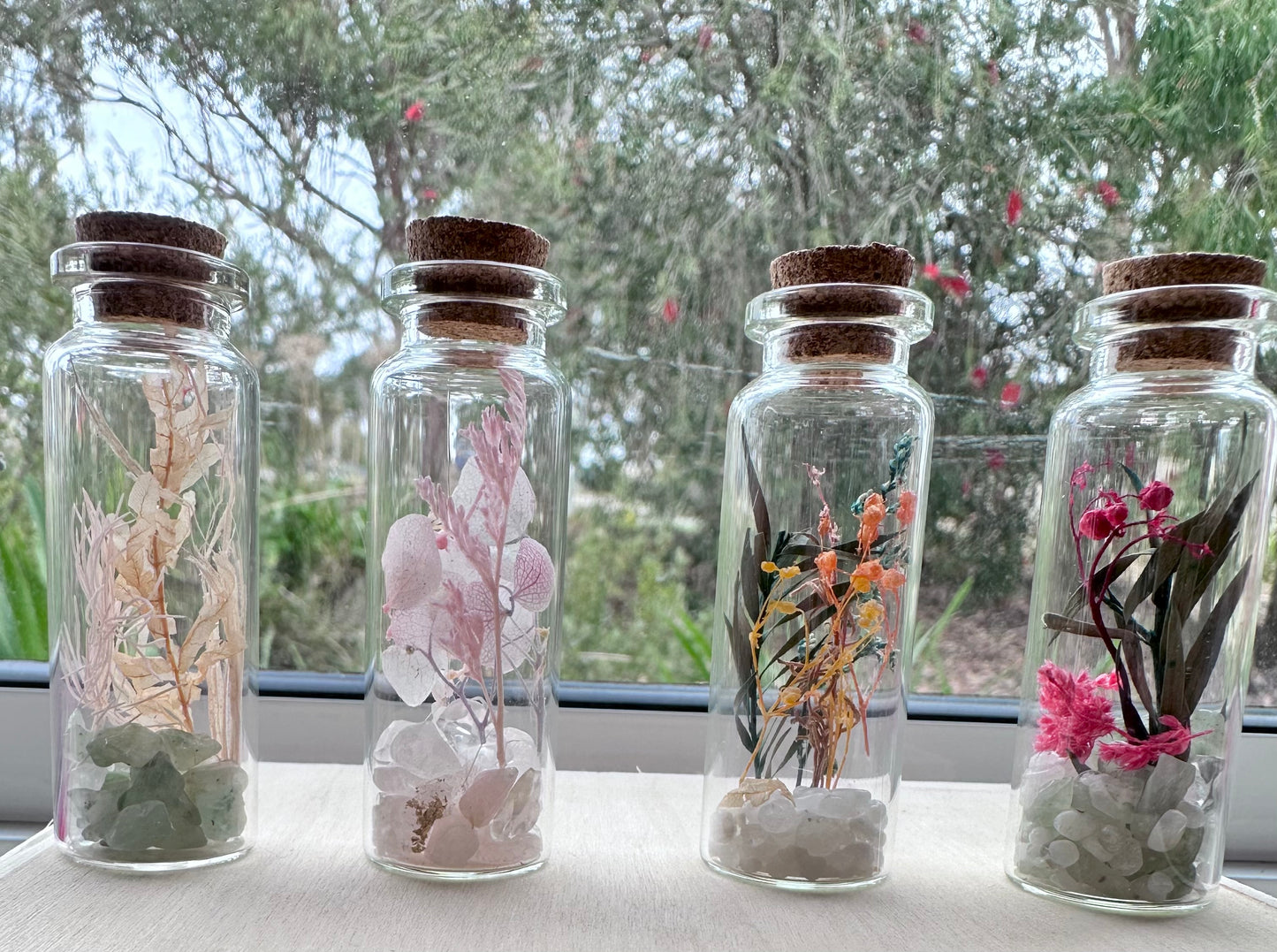 10 Jar Variety Pack