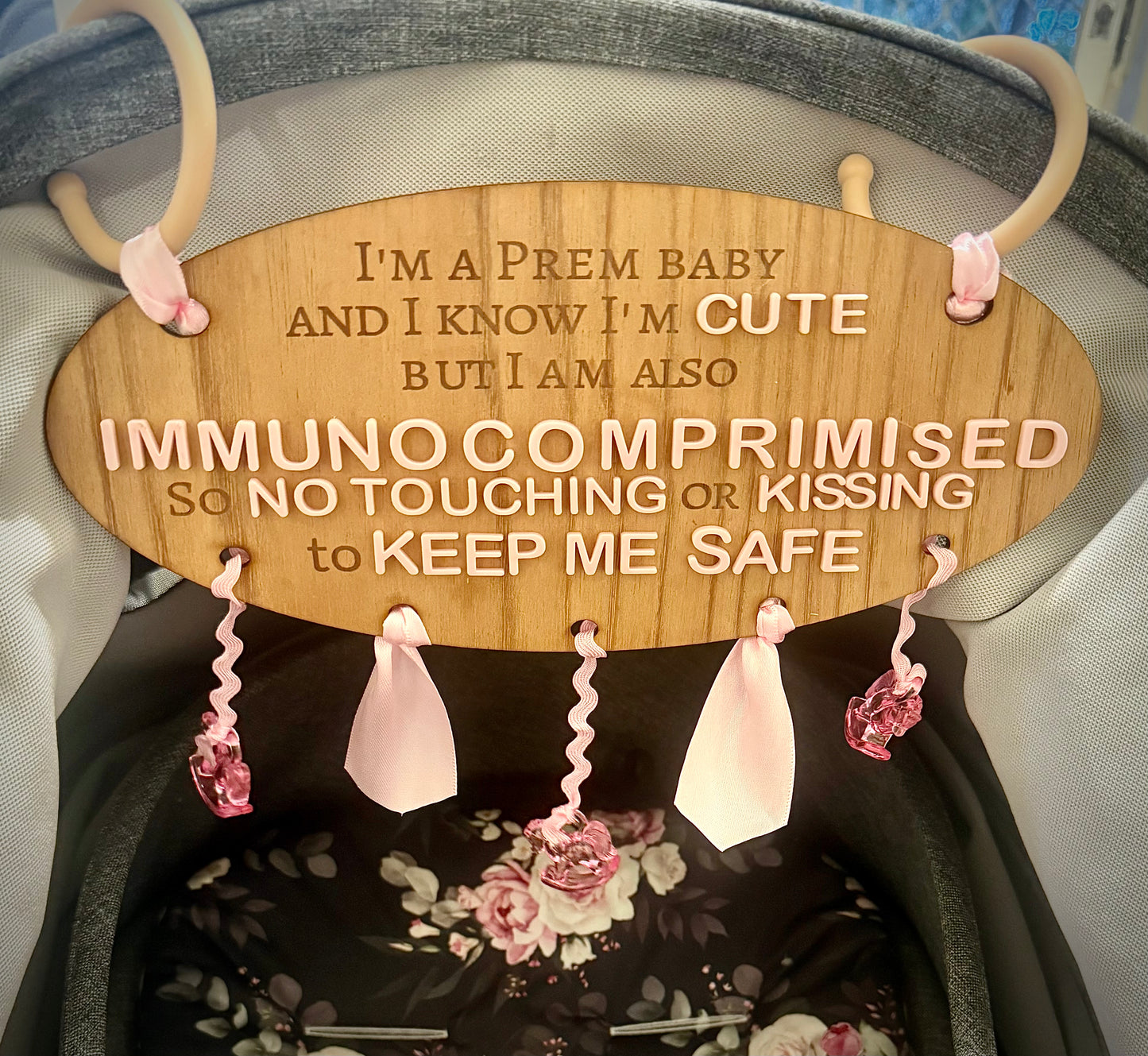 No touching or kissing pram sign