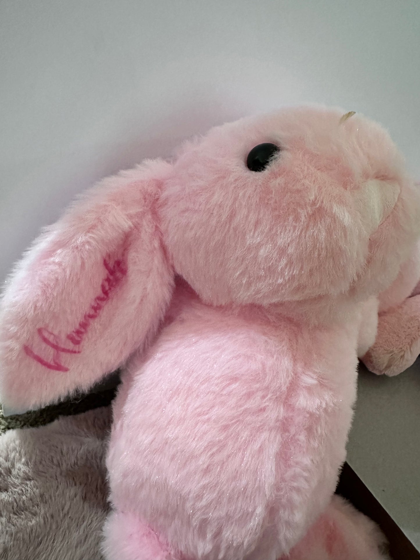 Personalised bunnies