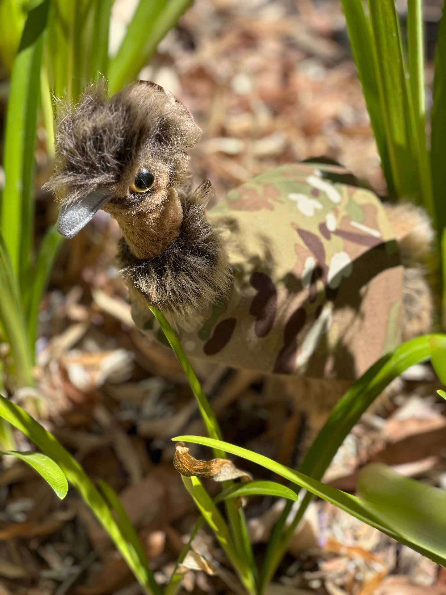 Plush Emu.