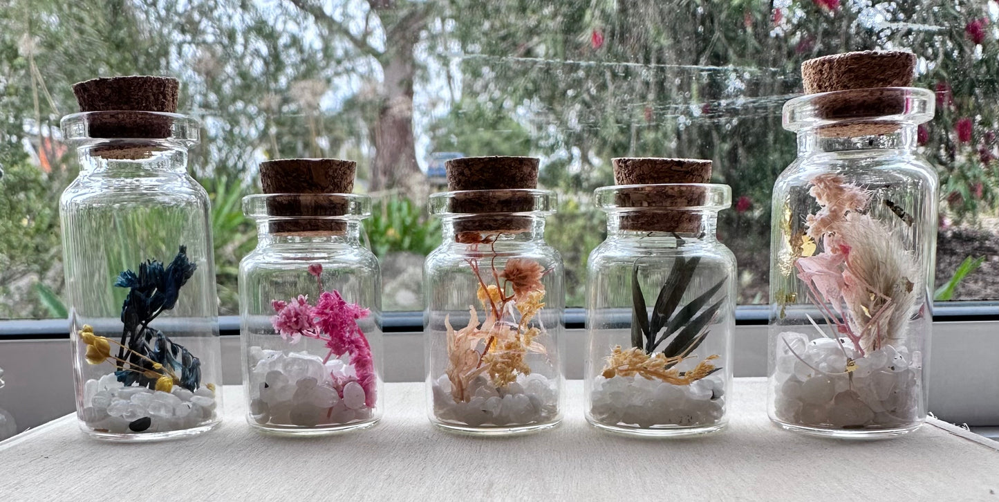 10 Jar Variety Pack