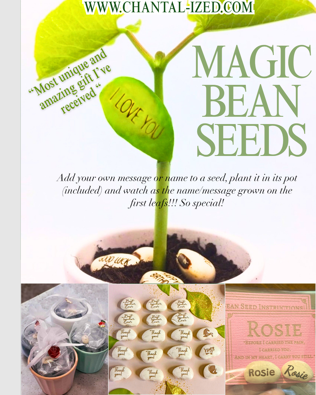 Magic bean seed set or engraved seed