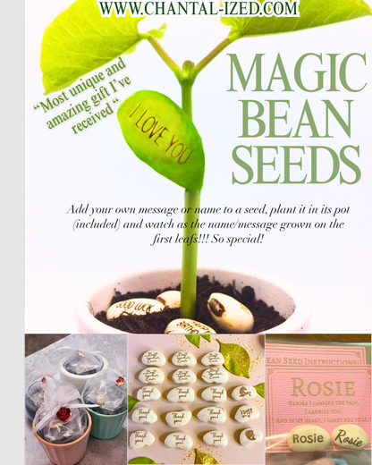 Magic bean seed set or engraved seed